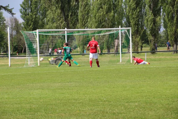 Meister 2017 - Letztes Spiel vs Abus Dessau 10.06.