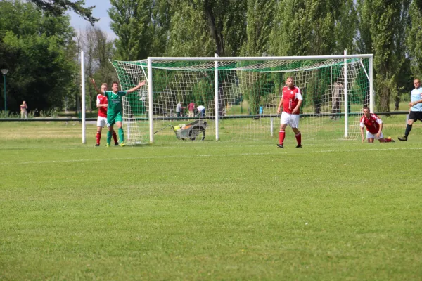 Meister 2017 - Letztes Spiel vs Abus Dessau 10.06.