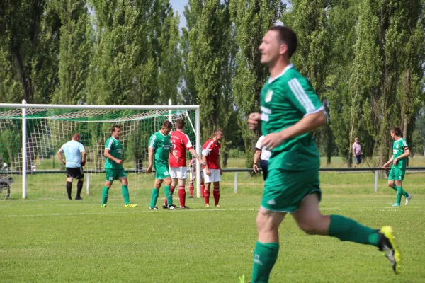 Meister 2017 - Letztes Spiel vs Abus Dessau 10.06.