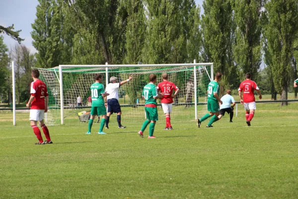 Meister 2017 - Letztes Spiel vs Abus Dessau 10.06.