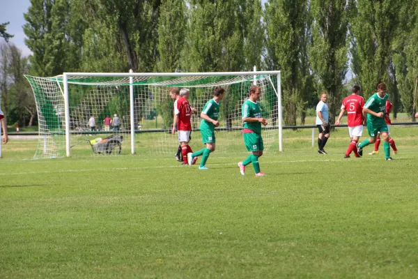 Meister 2017 - Letztes Spiel vs Abus Dessau 10.06.