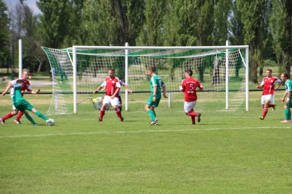 Meister 2017 - Letztes Spiel vs Abus Dessau 10.06.