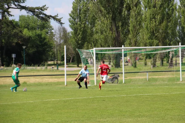 Meister 2017 - Letztes Spiel vs Abus Dessau 10.06.