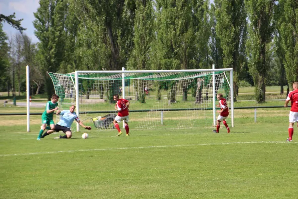 Meister 2017 - Letztes Spiel vs Abus Dessau 10.06.