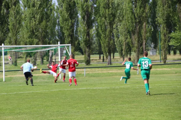 Meister 2017 - Letztes Spiel vs Abus Dessau 10.06.