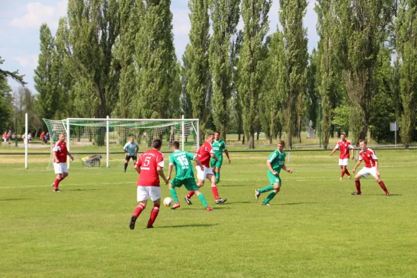 Meister 2017 - Letztes Spiel vs Abus Dessau 10.06.