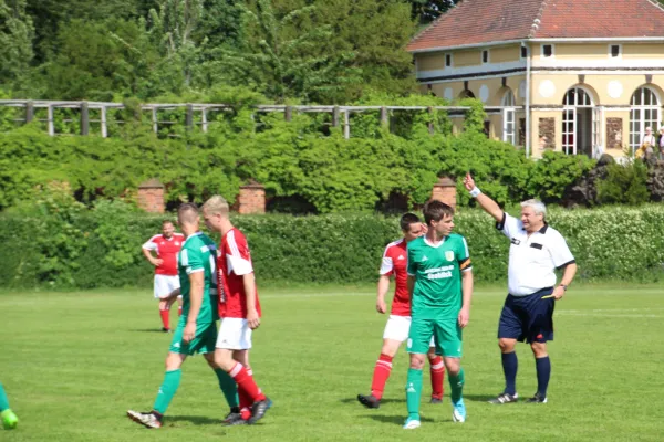 Meister 2017 - Letztes Spiel vs Abus Dessau 10.06.