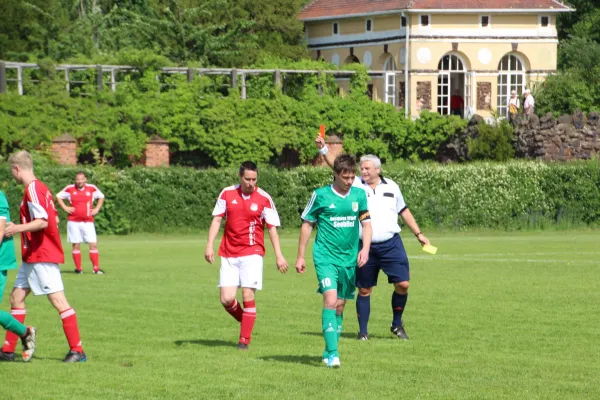 Meister 2017 - Letztes Spiel vs Abus Dessau 10.06.