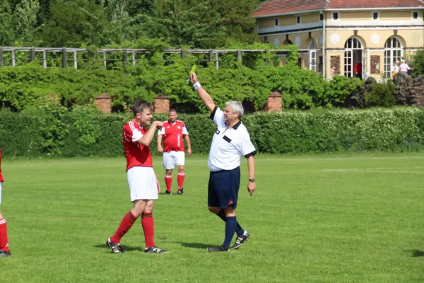 Meister 2017 - Letztes Spiel vs Abus Dessau 10.06.