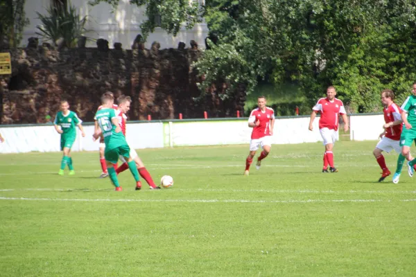 Meister 2017 - Letztes Spiel vs Abus Dessau 10.06.