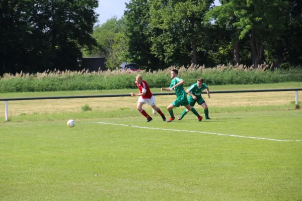 Meister 2017 - Letztes Spiel vs Abus Dessau 10.06.