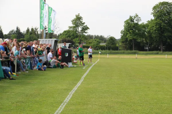 Meister 2017 - Letztes Spiel vs Abus Dessau 10.06.