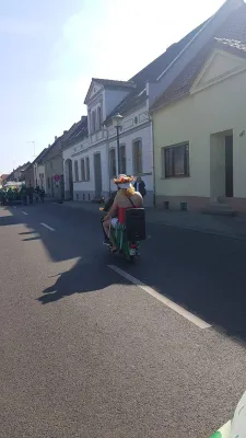 Frühlingserwachen 2019