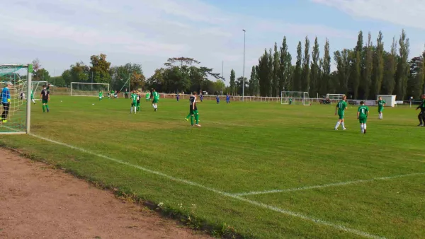 F und D Jugend Heimspiele 07.09.19