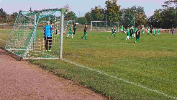 F und D Jugend Heimspiele 07.09.19