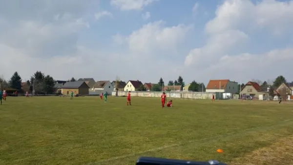 02.04.2018 SV 1922 Pouch/Rösa vs. SV Grün-Weiß Wörlitz