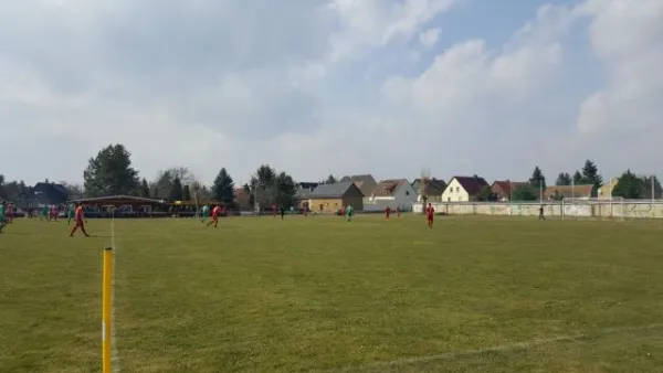 02.04.2018 SV 1922 Pouch/Rösa vs. SV Grün-Weiß Wörlitz