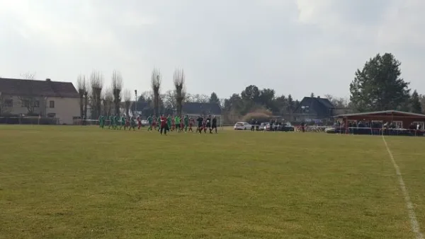 02.04.2018 SV 1922 Pouch/Rösa vs. SV Grün-Weiß Wörlitz