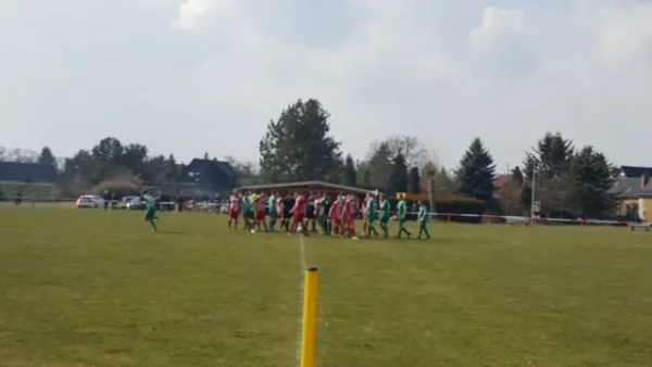 02.04.2018 SV 1922 Pouch/Rösa vs. SV Grün-Weiß Wörlitz