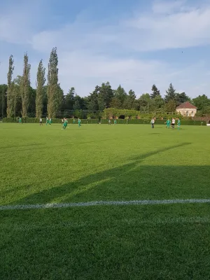 17.05.2018 SV Grün-Weiß Wörlitz vs. SV Graf Zepp. 09 Abt