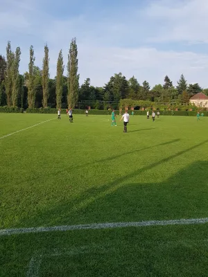 17.05.2018 SV Grün-Weiß Wörlitz vs. SV Graf Zepp. 09 Abt