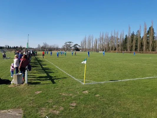 07.04.2018 SV Grün-Weiß Wörlitz vs. Dessauer SV 97