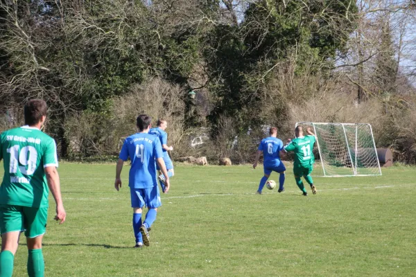 07.04.2018 SV Grün-Weiß Wörlitz vs. Dessauer SV 97