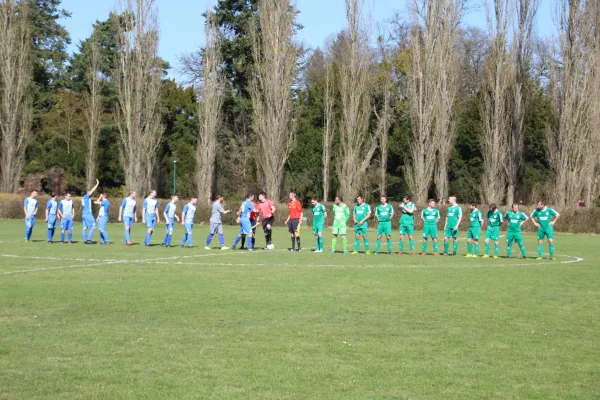 07.04.2018 SV Grün-Weiß Wörlitz vs. Dessauer SV 97