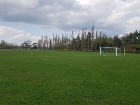 14.04.2018 SV Grün-Weiß Wörlitz vs. TSV Mosigkau