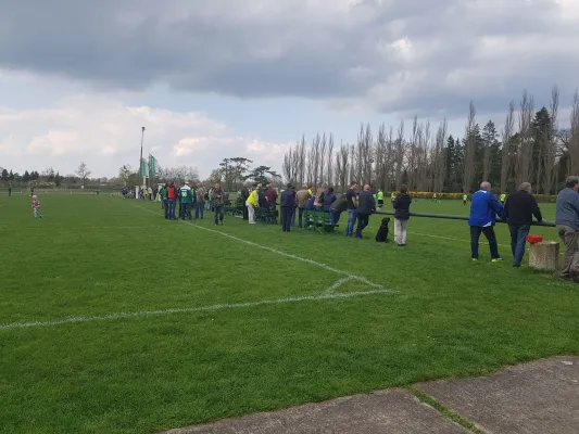 14.04.2018 SV Grün-Weiß Wörlitz vs. TSV Mosigkau