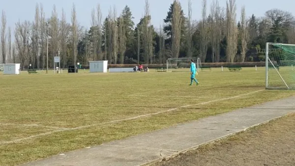 25.03.2018 SV Grün-Weiß Wörlitz II vs. FSG Walternienburg II