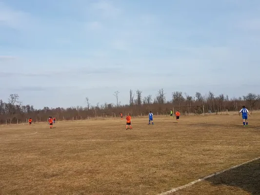 11.03.2018 SG Dobritz/Garitz II vs. SV Grün-Weiß Wörlitz II