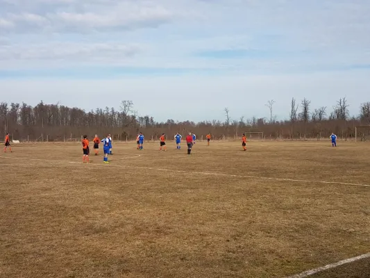 11.03.2018 SG Dobritz/Garitz II vs. SV Grün-Weiß Wörlitz II