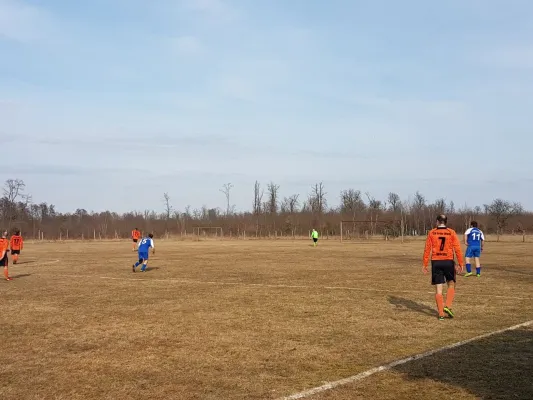 11.03.2018 SG Dobritz/Garitz II vs. SV Grün-Weiß Wörlitz II