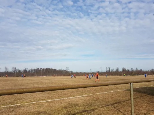 11.03.2018 SG Dobritz/Garitz II vs. SV Grün-Weiß Wörlitz II