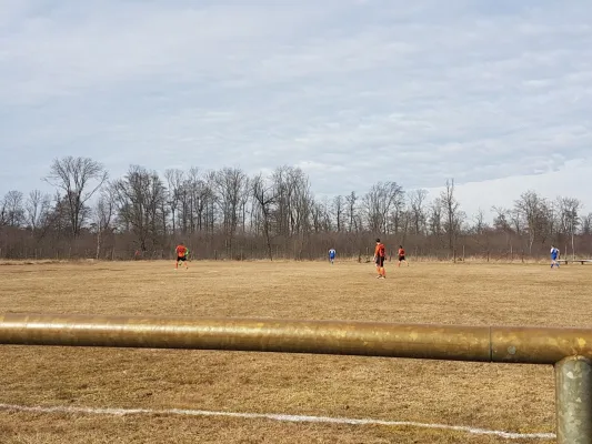 11.03.2018 SG Dobritz/Garitz II vs. SV Grün-Weiß Wörlitz II