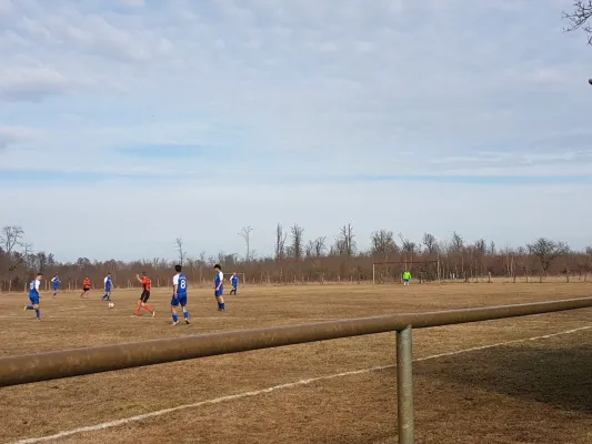 11.03.2018 SG Dobritz/Garitz II vs. SV Grün-Weiß Wörlitz II