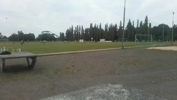 10.08.2017 SV Grün-Weiß Wörlitz vs. JSG Heidekicker