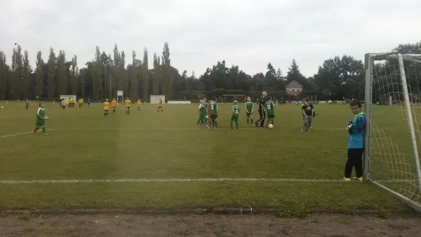 10.08.2017 SV Grün-Weiß Wörlitz vs. JSG Heidekicker