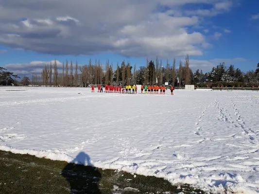 04.02.2018 SV Grün-Weiß Wörlitz vs. TSV Mosigkau II