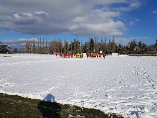 04.02.2018 SV Grün-Weiß Wörlitz vs. TSV Mosigkau II