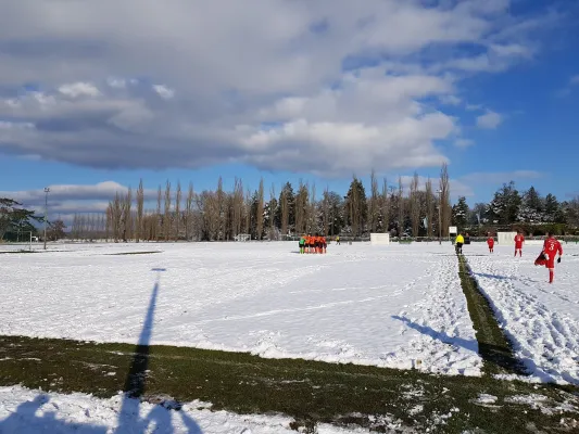 04.02.2018 SV Grün-Weiß Wörlitz vs. TSV Mosigkau II