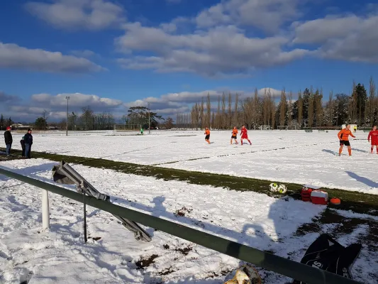 04.02.2018 SV Grün-Weiß Wörlitz vs. TSV Mosigkau II