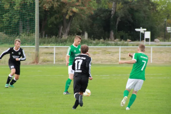 25.08.2018 SV Grün-Weiß Wörlitz vs. SG Ramsin