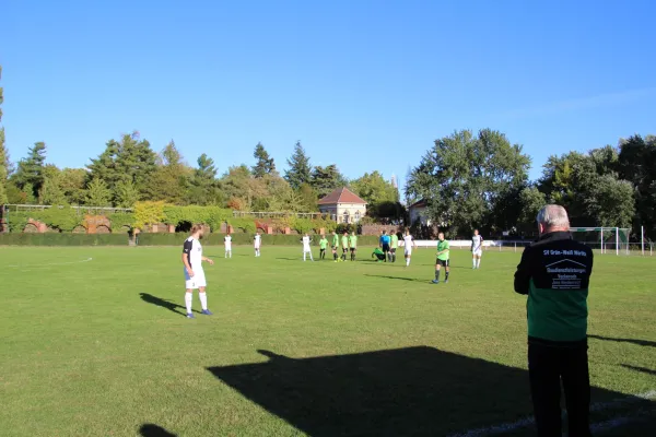 29.09.2018 SV Grün-Weiß Wörlitz vs. TSV Mosigkau