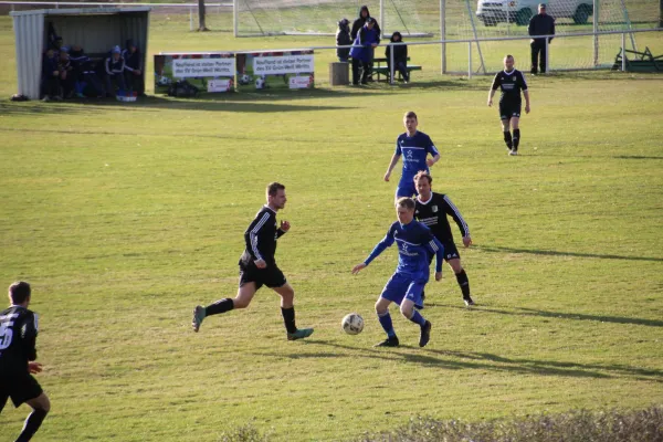 09.03.2019 SV Grün-Weiß Wörlitz vs. SG 1919 Trebitz