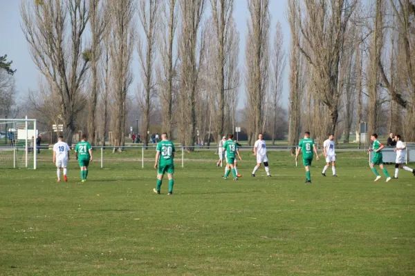 23.03.2019 SV Grün-Weiß Wörlitz vs. SV Germania Roßlau