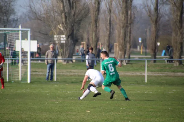 23.03.2019 SV Grün-Weiß Wörlitz vs. SV Germania Roßlau