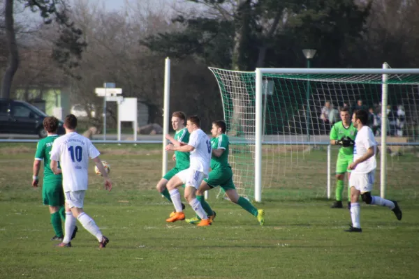 23.03.2019 SV Grün-Weiß Wörlitz vs. SV Germania Roßlau