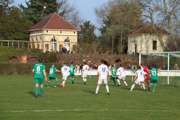 23.03.2019 SV Grün-Weiß Wörlitz vs. SV Germania Roßlau